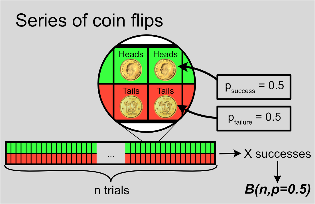A series of n coin flips. Green and red: probabilities of success (heads) and failure (tails) for each trial.